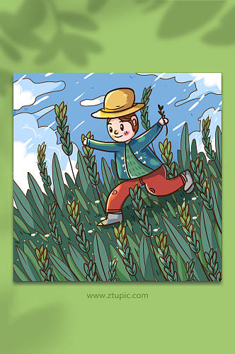 小满节气人物在稻田奔跑的男孩插画