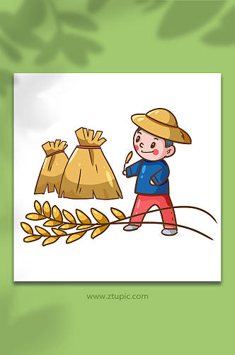 芒种节气麦穗谷物堆和小男孩人物插画