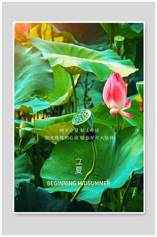 图片-立夏传统节气海报设计素材-立夏传统节气海报模板下载-众图网