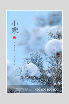 中国传统小寒海报