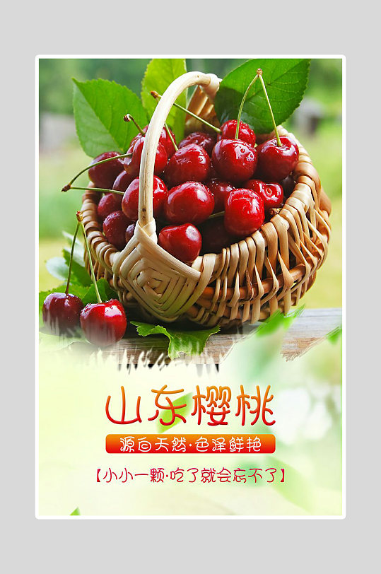 山东樱桃水果促销展板海报