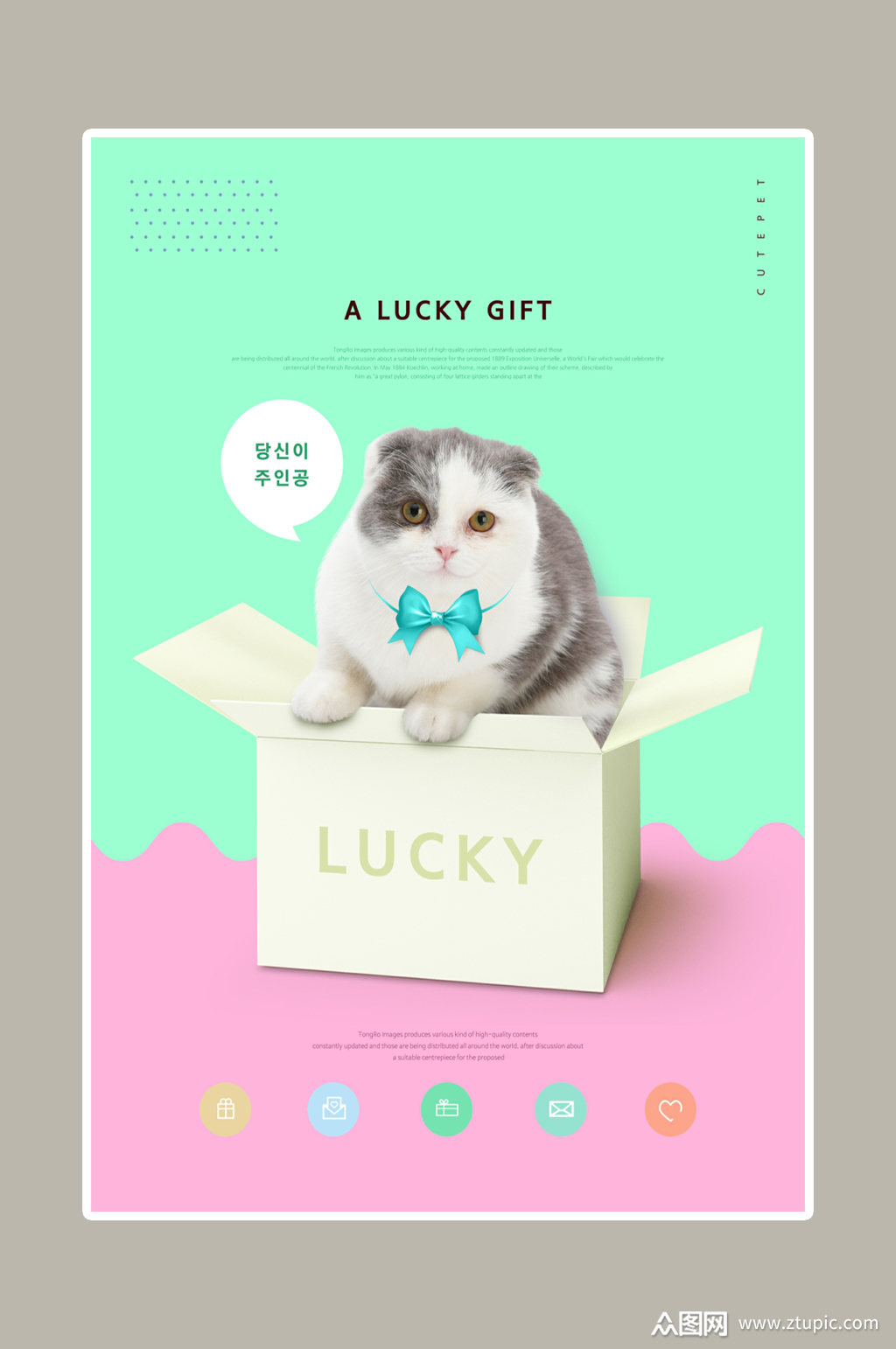 宠物可爱猫咪海报