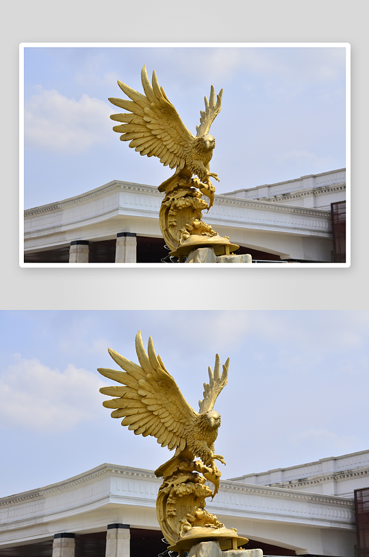 展翅金鹰柬埔寨赌场