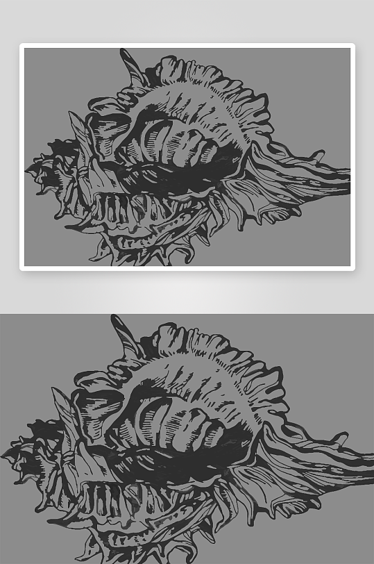 海洋生物手绘元素插画-众图网