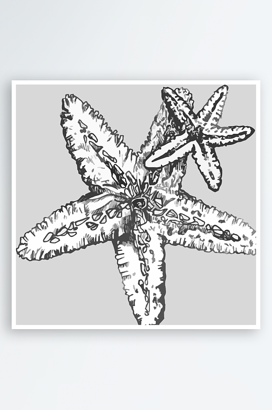 海洋生物手绘元素插画-众图网