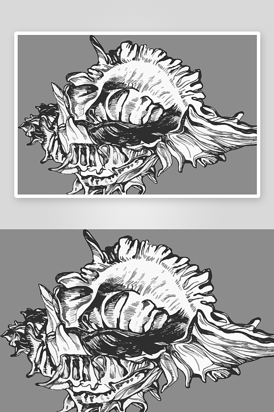 海洋生物手绘元素插画-众图网