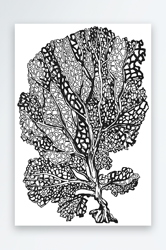 海洋生物手绘元素插画-众图网