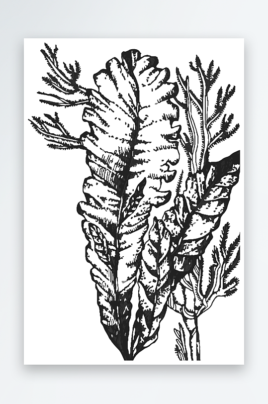 海洋生物手绘元素插画素材-众图网