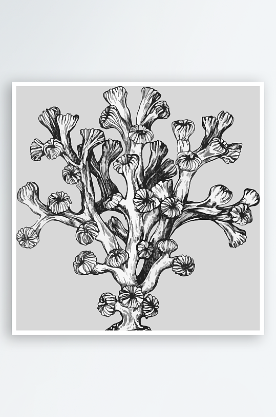 海洋生物手绘元素插画素材-众图网