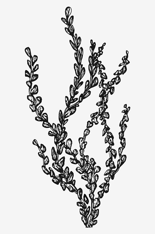 海洋生物手绘元素插画素材-众图网