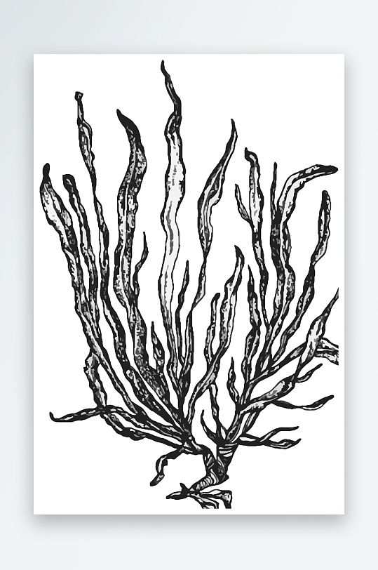 海洋生物手绘元素插画素材-众图网