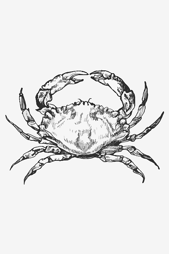 海洋生物手绘元素插画-众图网