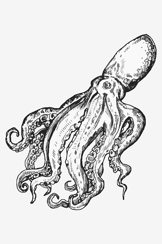 海洋生物手绘元素插画-众图网