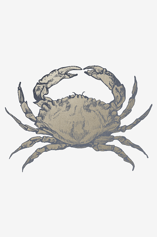 海洋生物手绘元素插画-众图网