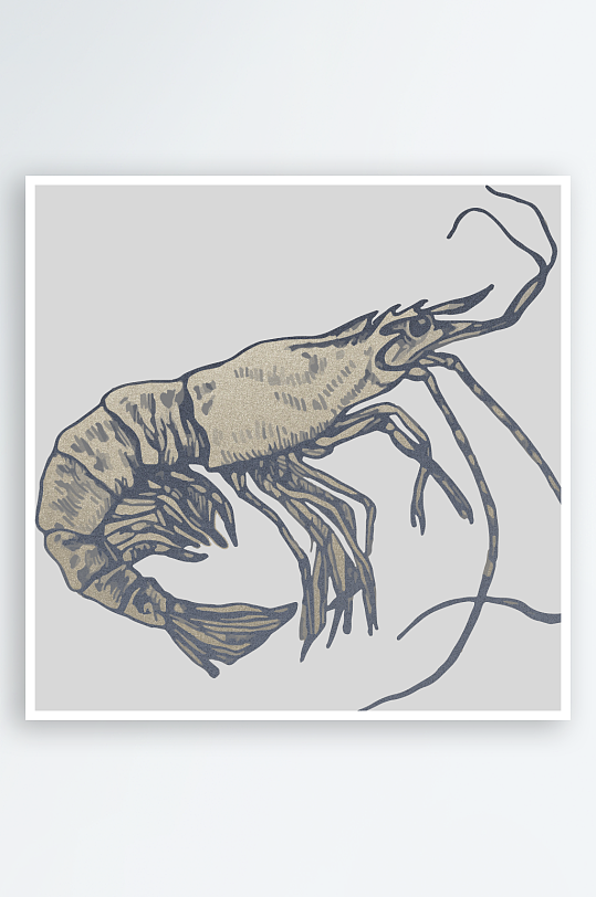 海洋生物手绘插画-众图网