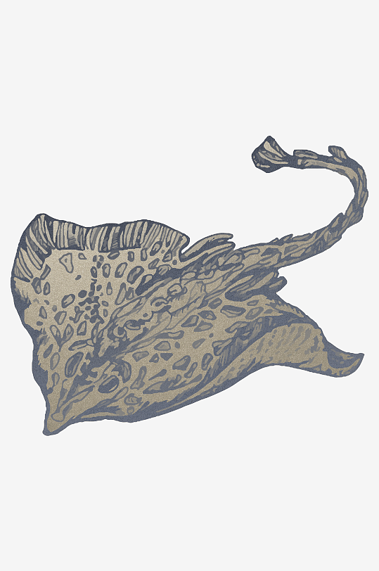 海洋生物手绘插画-众图网