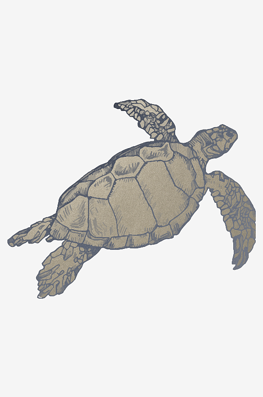 海洋生物手绘插画-众图网