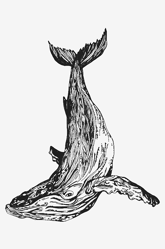 海洋生物手绘插画-众图网