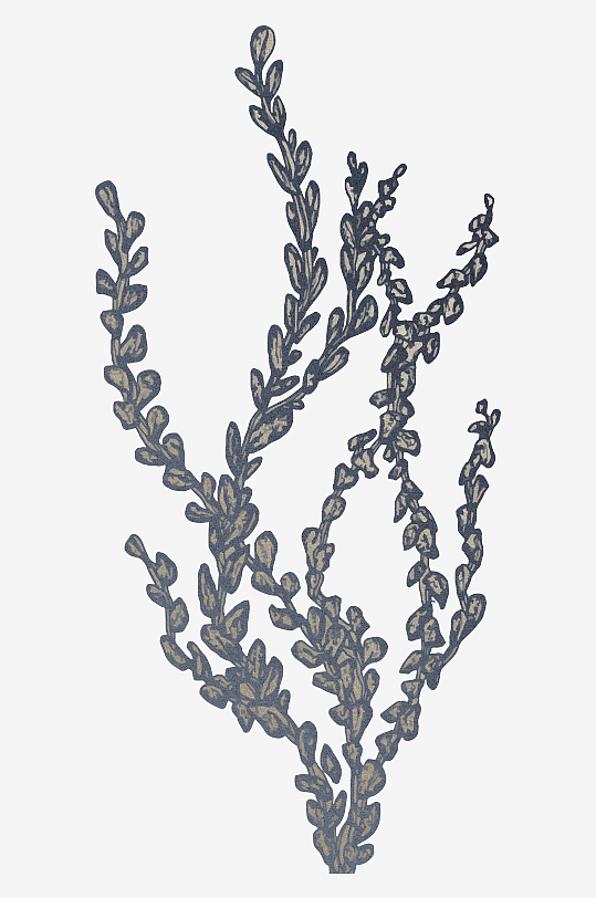 海洋生物手绘插画-众图网