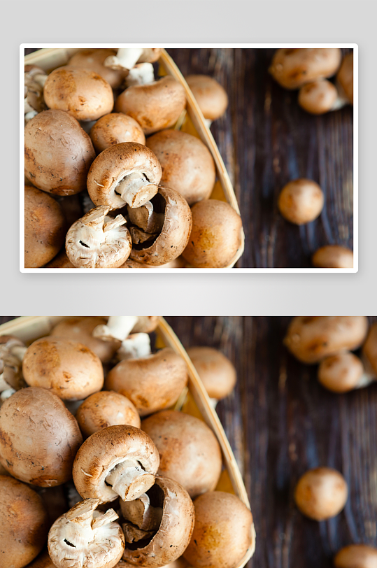 蘑菇香菇高清摄影图片素材-众图网