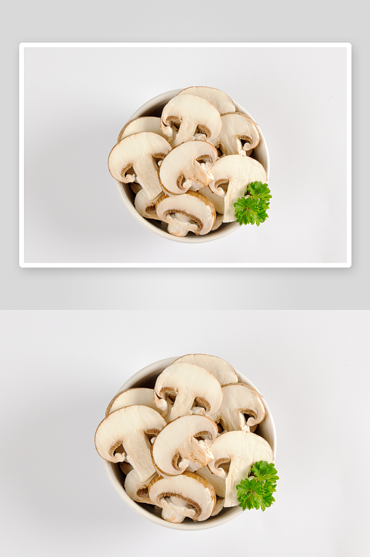 蘑菇香菇高清图片-众图网