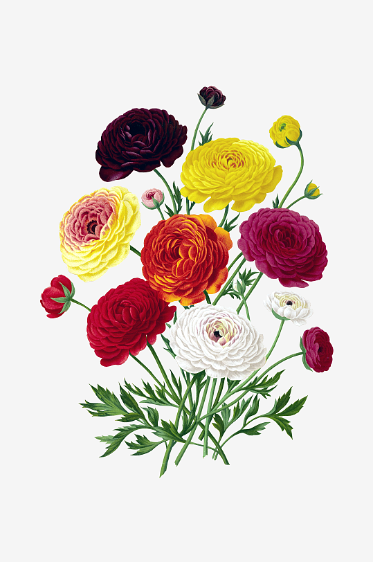 唯美水彩花卉图片素材-众图网