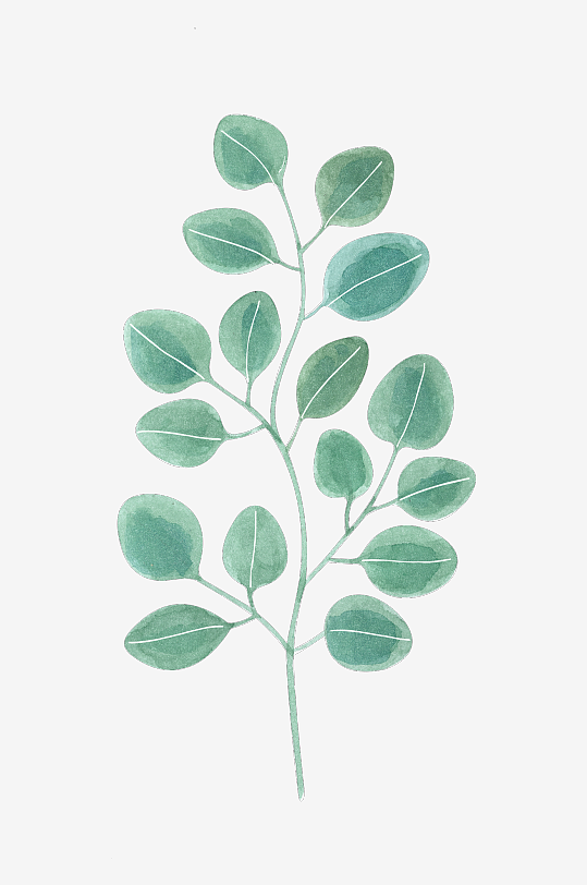 森系植物树叶绿叶图片-众图网