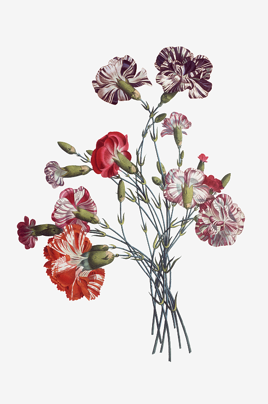 唯美水彩花卉Png图片素材-众图网