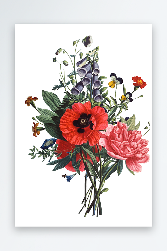 唯美水彩花卉Png图片素材-众图网