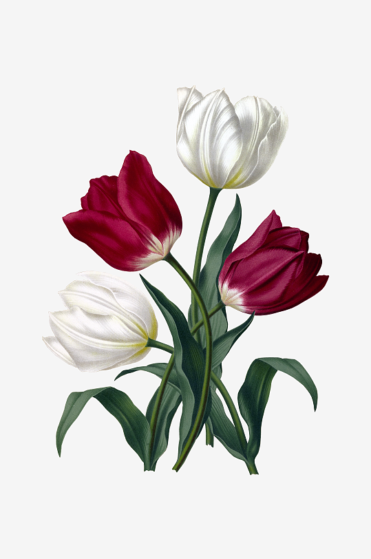 唯美水彩花卉Png图片-众图网