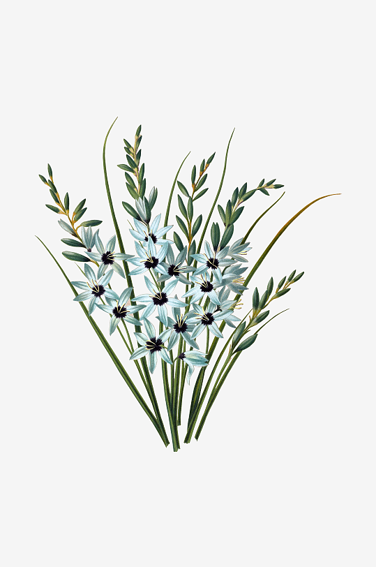 唯美水彩花卉Png图片-众图网