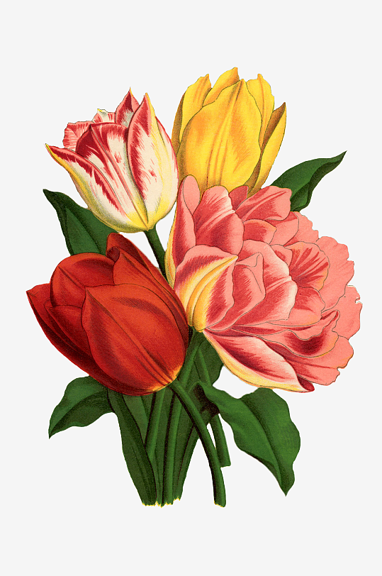 唯美水彩花卉Png图片-众图网