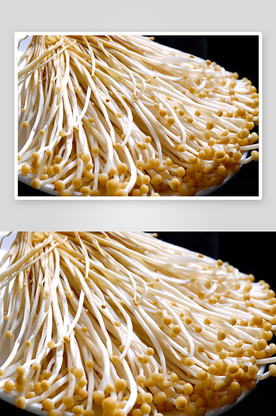 火锅菌类配菜图片-众图网