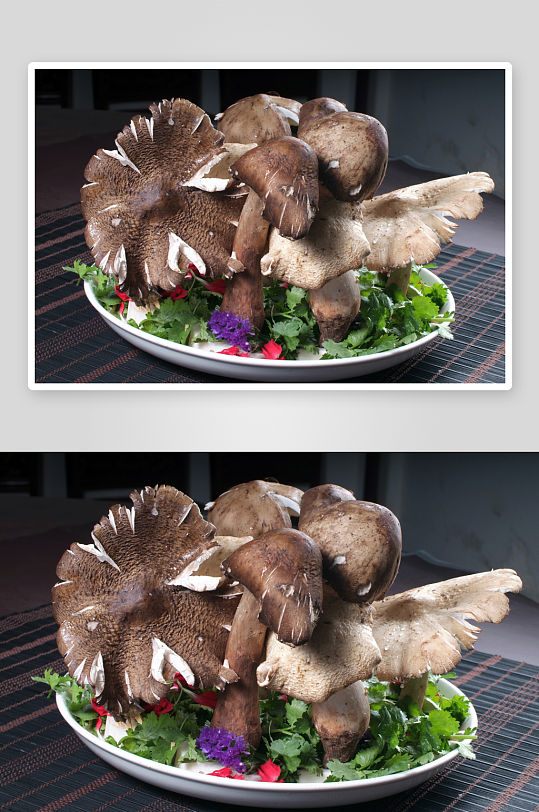 火锅菌类配菜图片素材-众图网