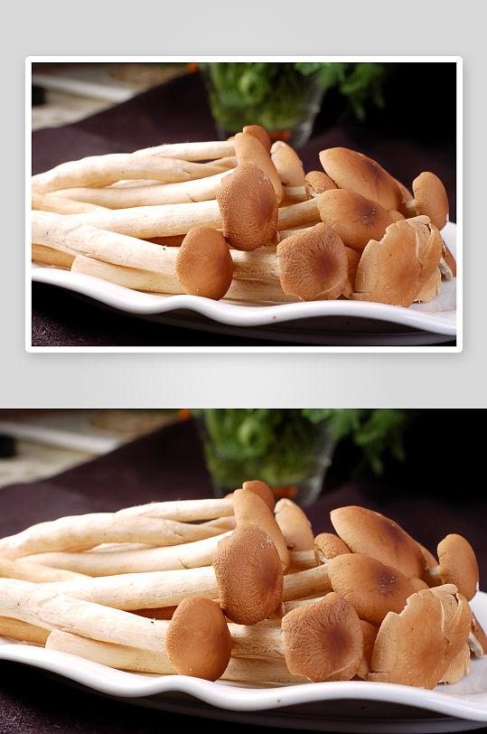 火锅菌类配菜图片素材-众图网