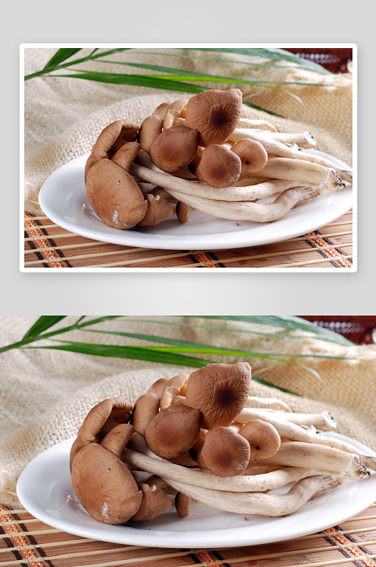 火锅菌类配菜图片素材-众图网