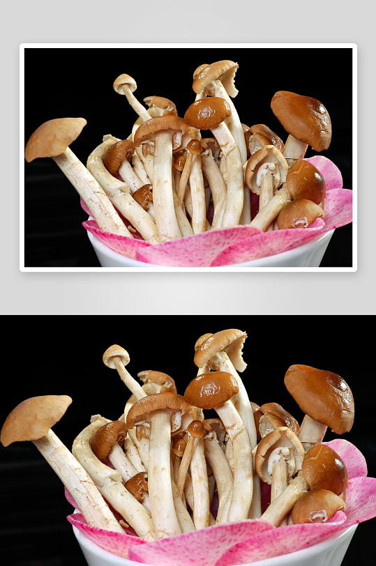 火锅菌类配菜图片素材-众图网