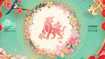 清新雅致贺新春明星拜年视频模板-众图网