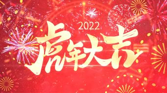 精美烟花虎年倒计时虎年年会视频-众图网