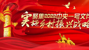 聚焦2022中央一号文件乡村振兴战略视频-众图网