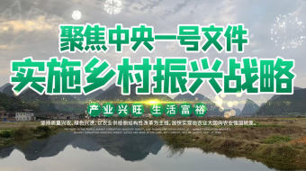 2022大气党建乡村振兴视频-众图网