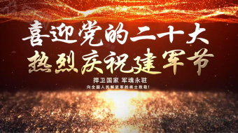 红色喜迎二十大庆祝八一建军节党建AE视频-众图网