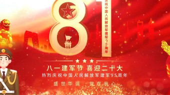高端党建八一建军节建军95周年AE视频-众图网