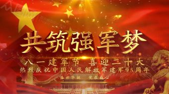 红色烟花八一建军节喜迎二十大党建AE视频-众图网