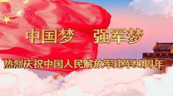 红色八一建军95周年党建视频AE模板-众图网