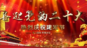 红色简约八一建军95周年党建视频AE模板-众图网