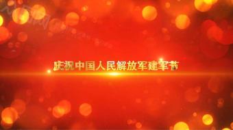 创意八一建军95周年党建视频AE模板-众图网