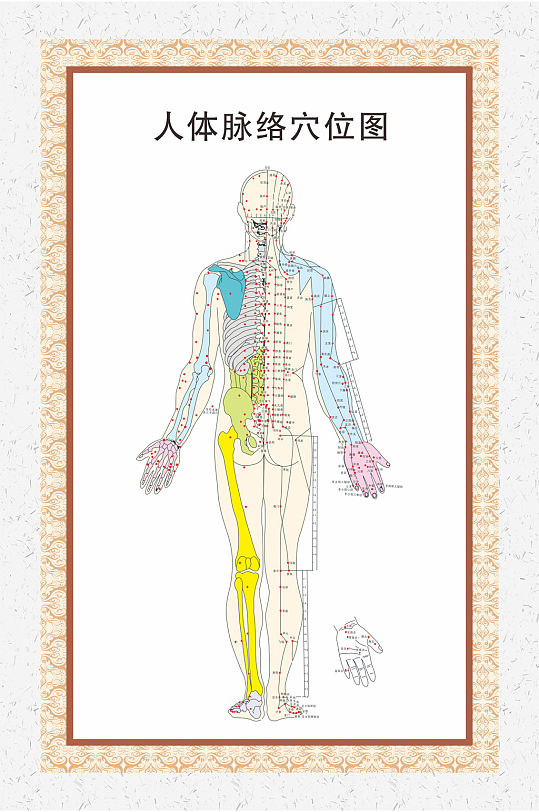 中医经络人体图片-中医经络人体素材下载-众图网