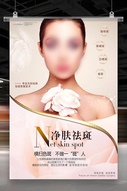 净肤祛斑美容养颜