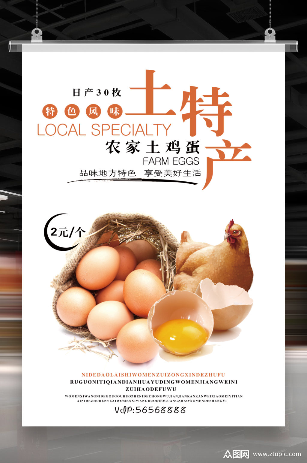 农家土鸡蛋海报